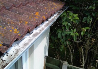 Pure Glass Window Cleaning - gutter cleared