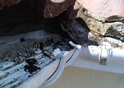 Pure Glass Window Cleaning - Corner gutter cleared